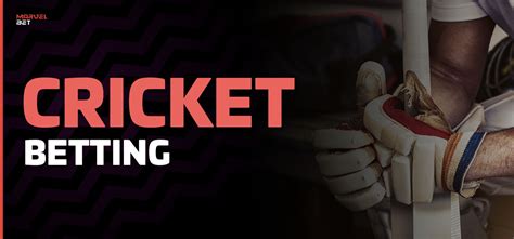 MarvelBet Cricket .